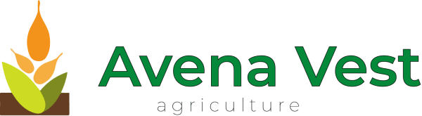 VEST ONE COMERCE SRL Logo