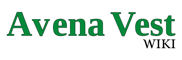 VEST ONE COMERCE SRL Logo