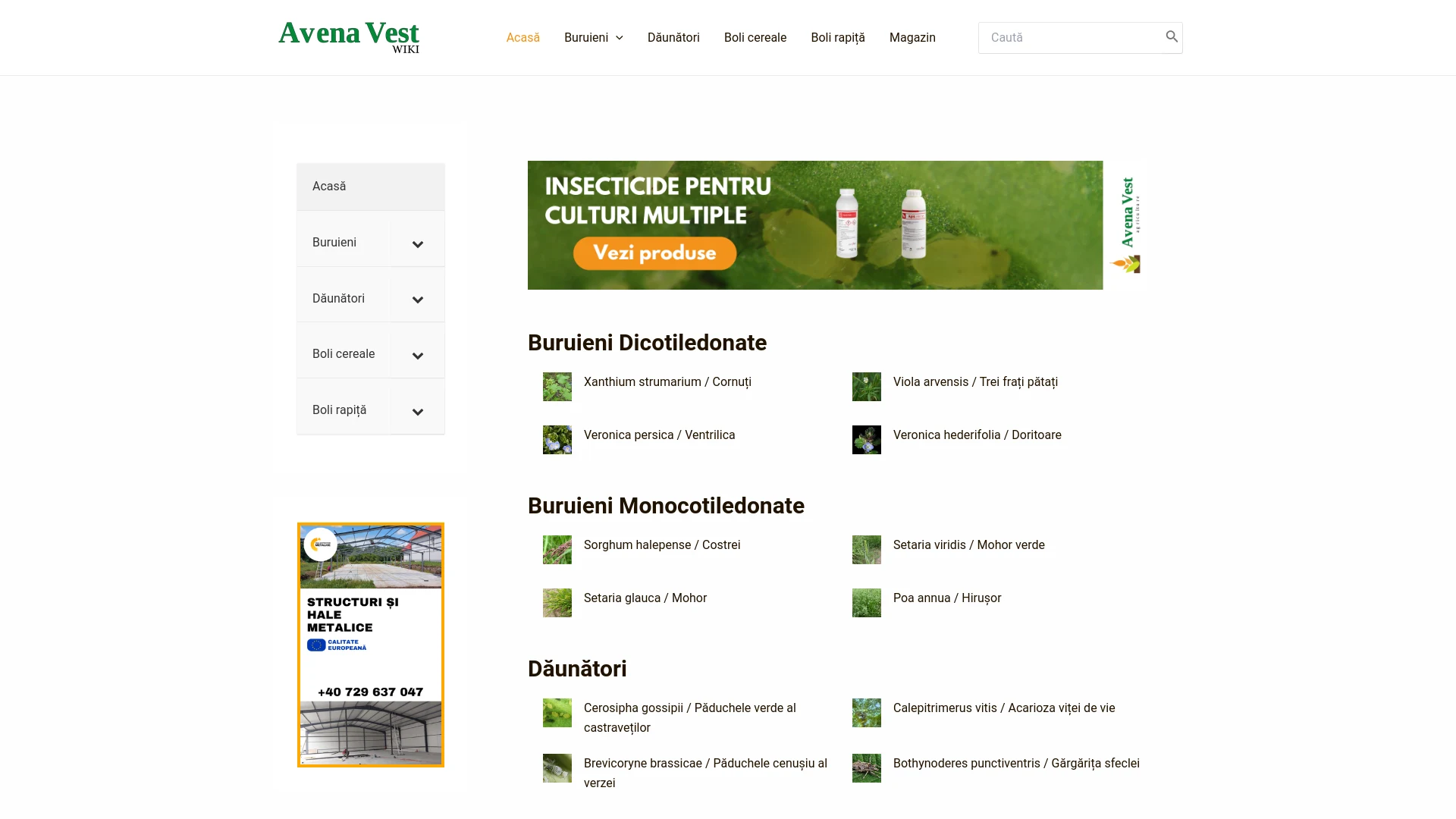 Avena Vest WIKI
